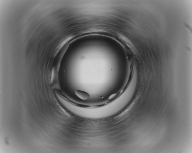 X0000095961177200801111355