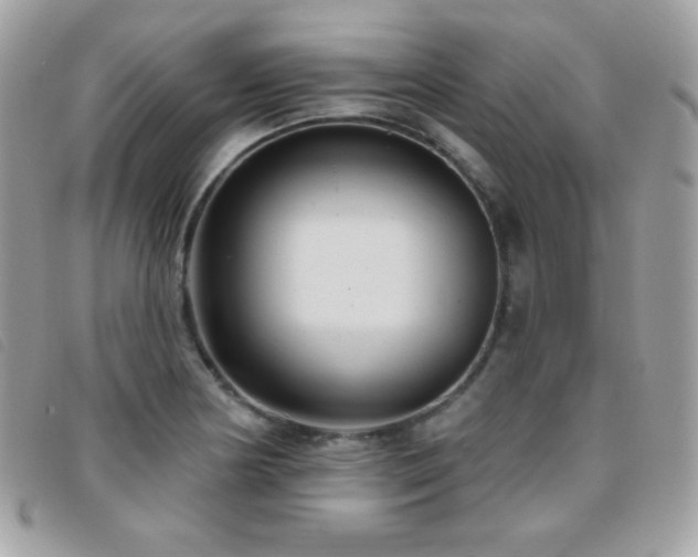 X0000095961178200801111355