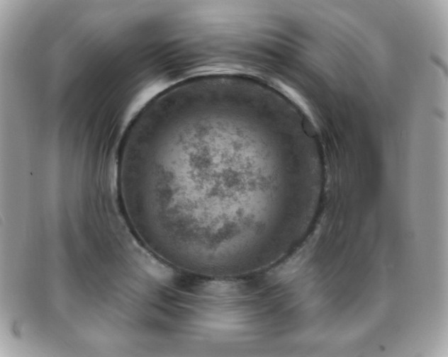 X0000095961179200801111355
