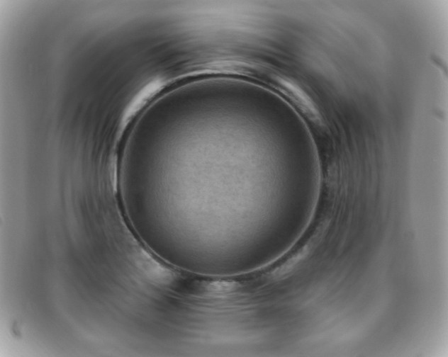 X0000095961180200801111355