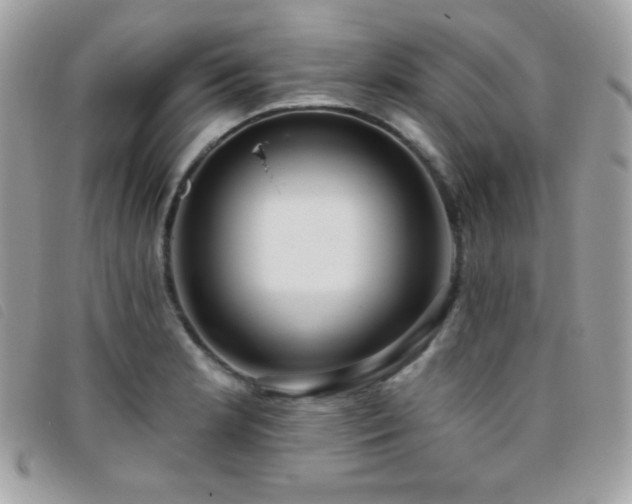 X0000095961181200801111355