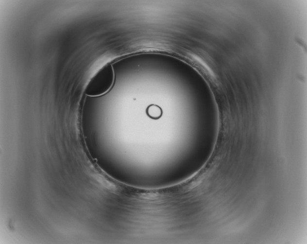 X0000095961182200801111355
