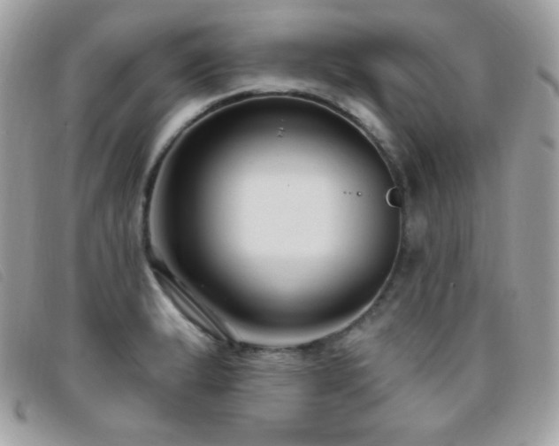 X0000095961183200801111355