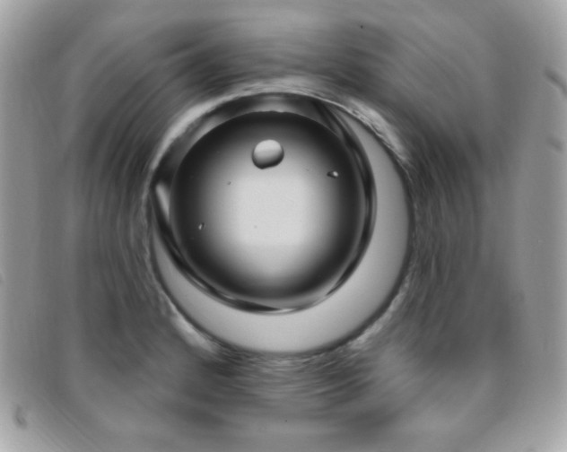 X0000095961184200801111355