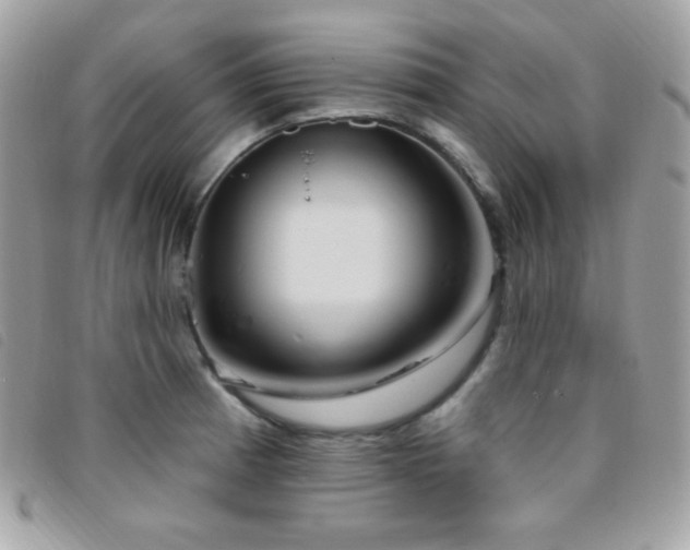 X0000095961185200801111355