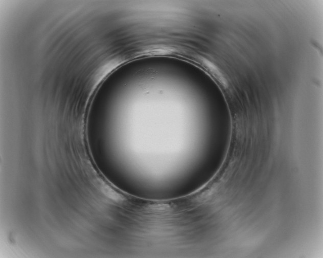 X0000095961186200801111355