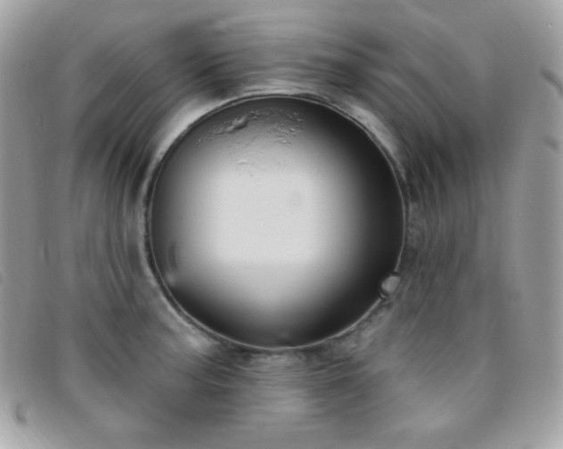 X0000095961187200801111355