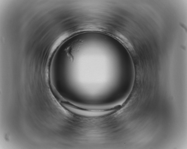 X0000095961188200801111355