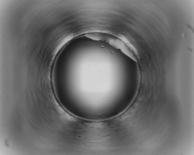 X0000095961189200801111355