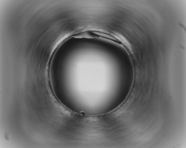 X0000095961190200801111355