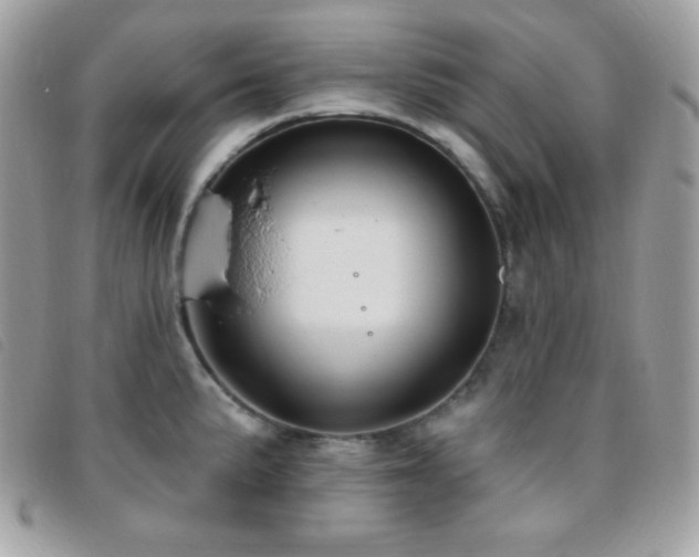 X0000095961191200801111355
