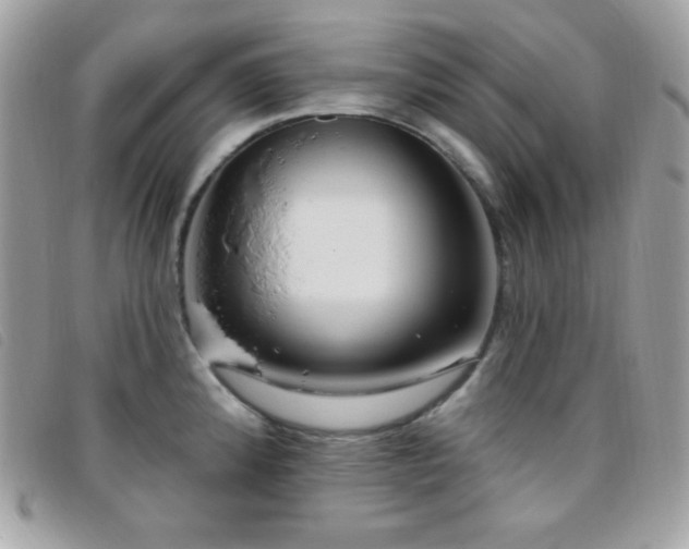X0000095961192200801111355