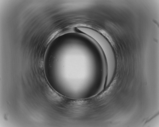 X0000095961193200801111355