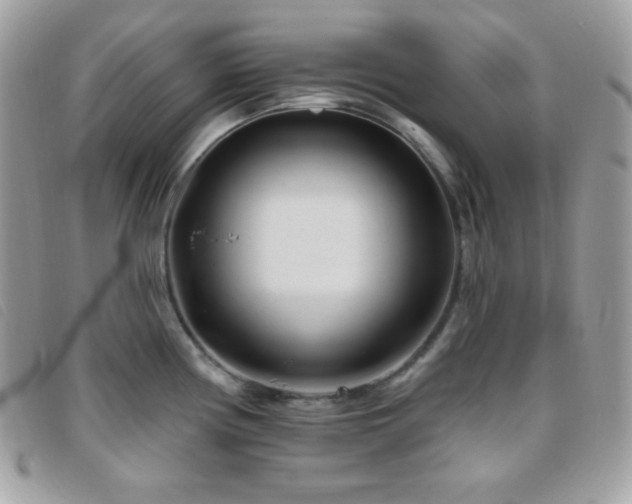 X0000095961194200801111355
