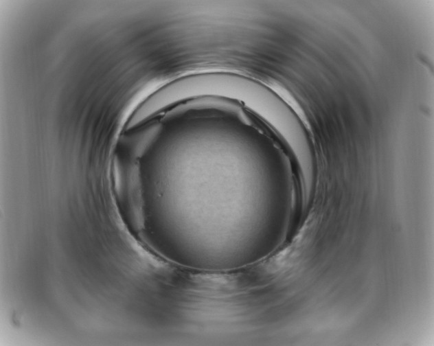 X0000095961197200801111355