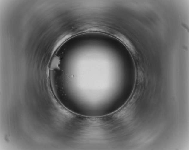 X0000095961198200801111355