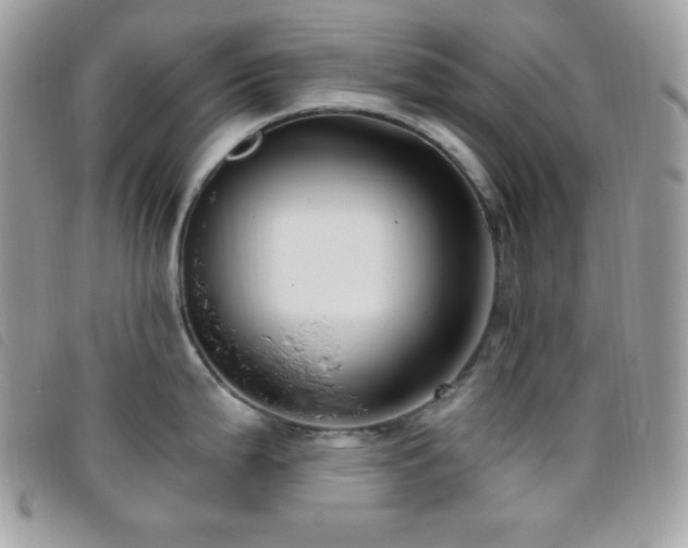 X0000095961199200801111355