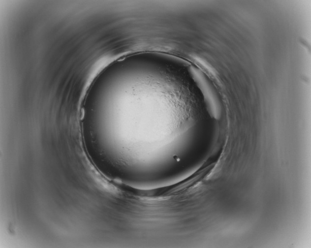 X0000095961200200801111355