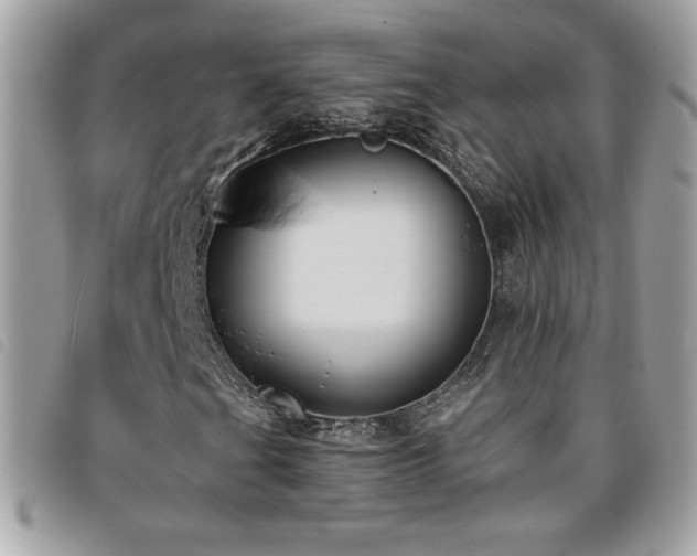 X0000095961201200801111354