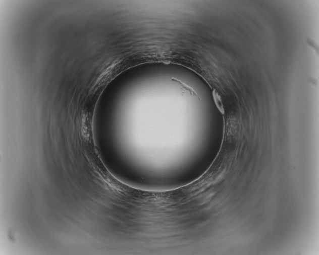 X0000095961202200801111354