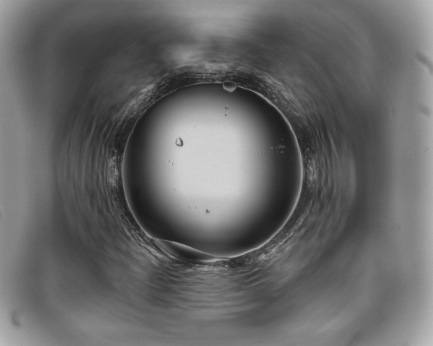 X0000095961204200801111355