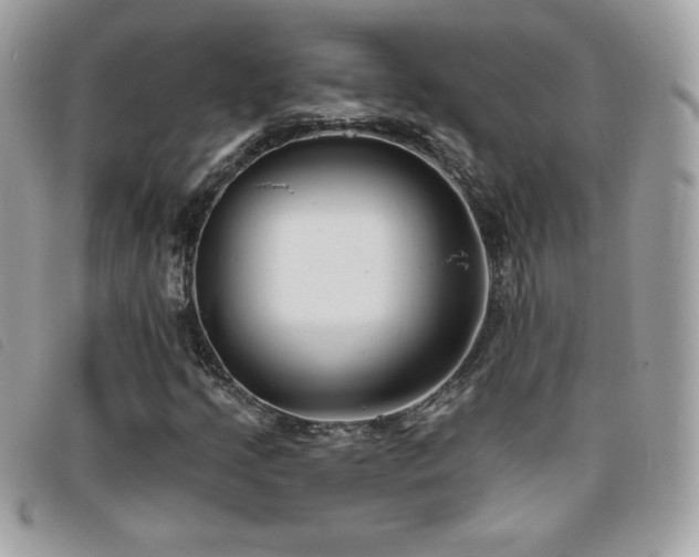 X0000095961205200801111355