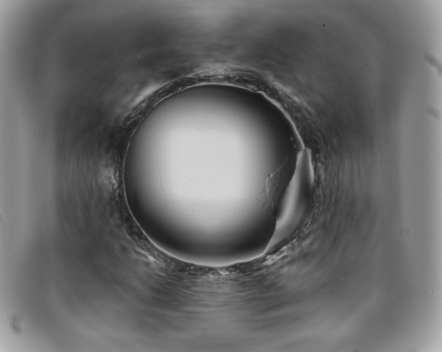 X0000095961206200801111355