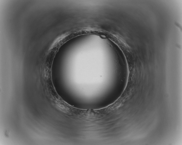 X0000095961207200801111355