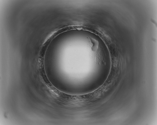 X0000095961208200801111355
