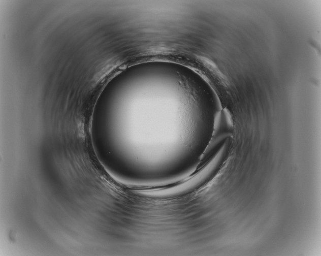 X0000095961209200801111355