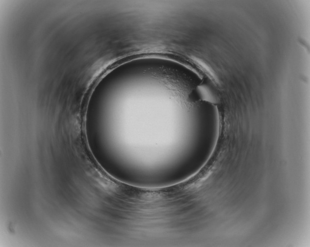 X0000095961212200801111355