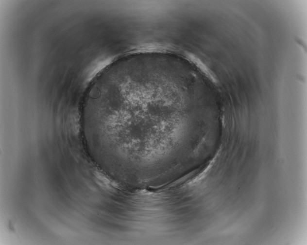 X0000095961213200801111355