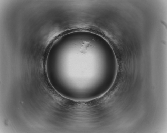 X0000095961214200801111355