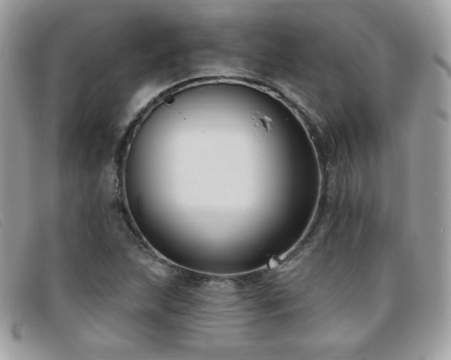 X0000095961215200801111355