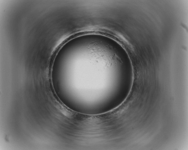 X0000095961216200801111355