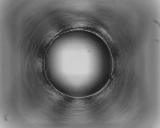 X0000095961217200801111355