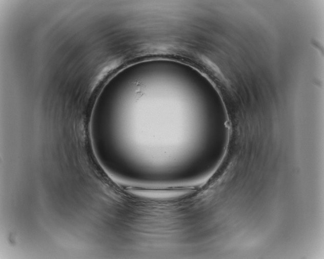 X0000095961218200801111355