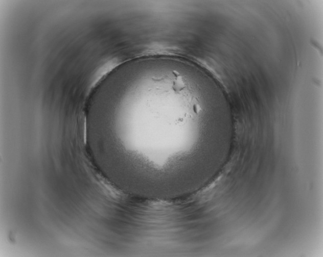 X0000095961219200801111355