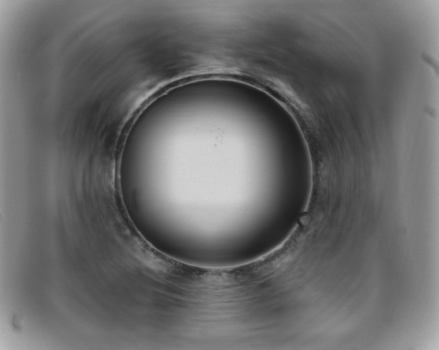 X0000095961220200801111355