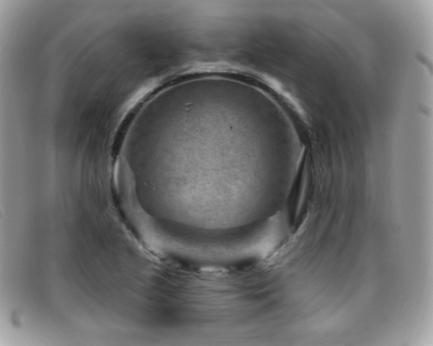 X0000095961221200801111355