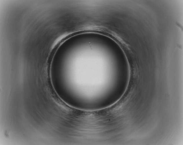 X0000095961222200801111355