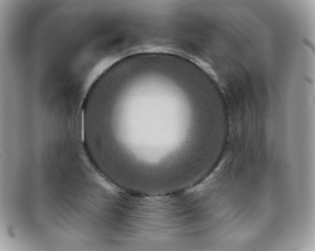 X0000095961223200801111355