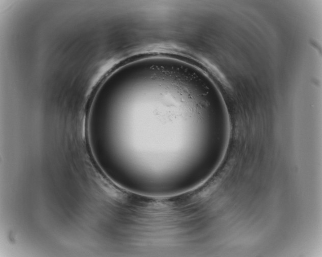 X0000095961224200801111355