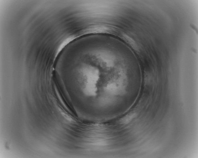 X0000095961226200801111355