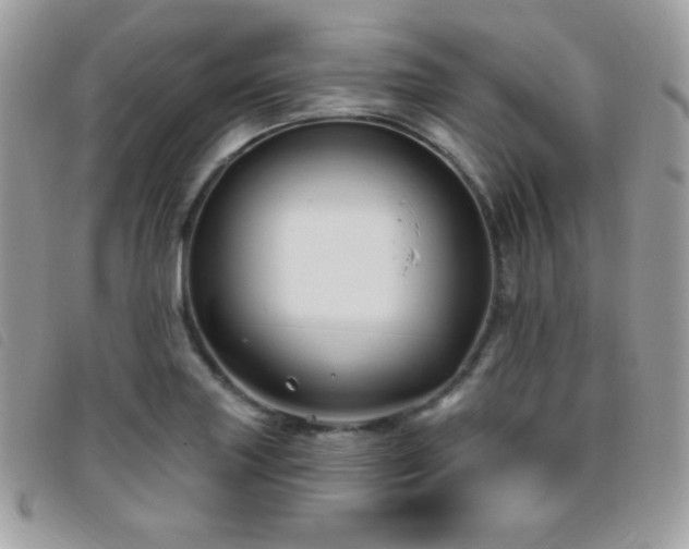 X0000095961227200801111355