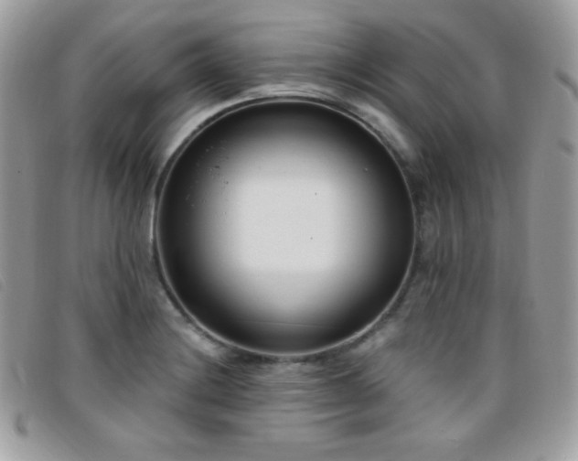 X0000095961228200801111355