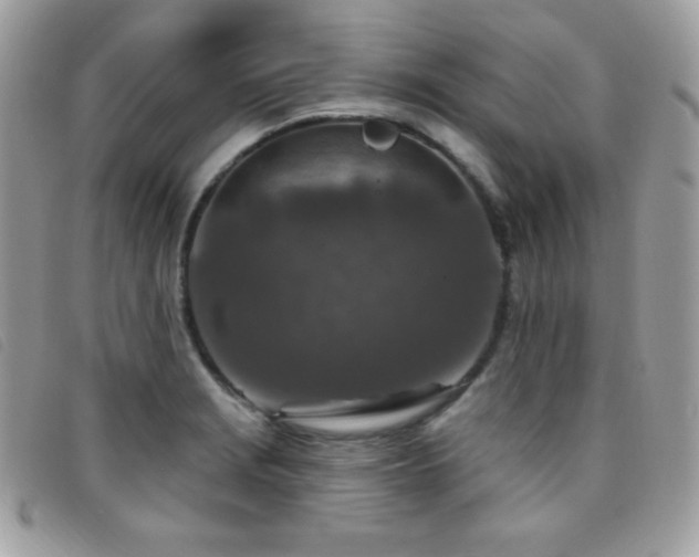 X0000095961229200801111355