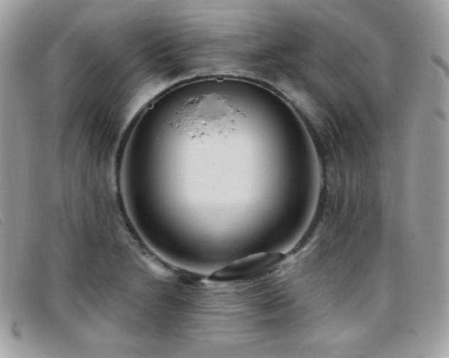 X0000095961230200801111355