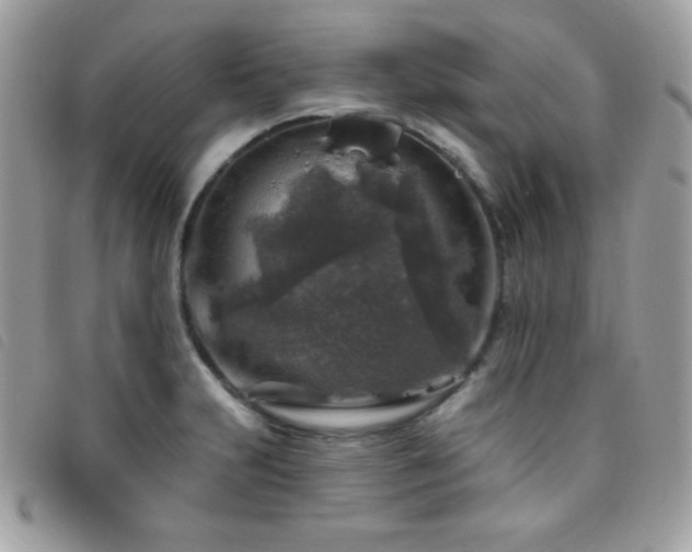 X0000095961231200801111355