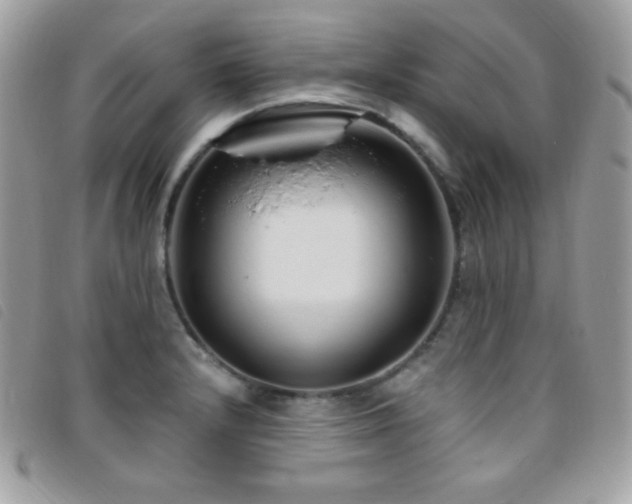 X0000095961232200801111355